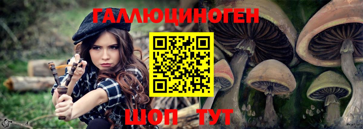 Псилоцибиновые грибы Magic Shrooms Тында